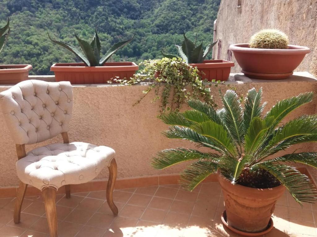 Hotel La Casa Della Filanda Belmonte Calabro Exteriér fotografie